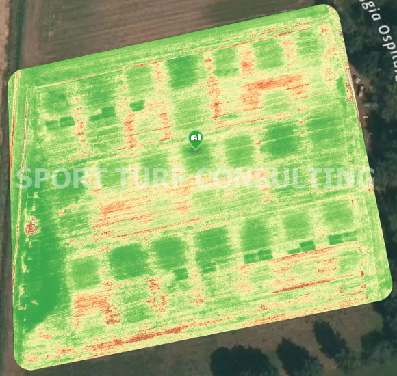 NDVI su parcelle sperimentali di frumento